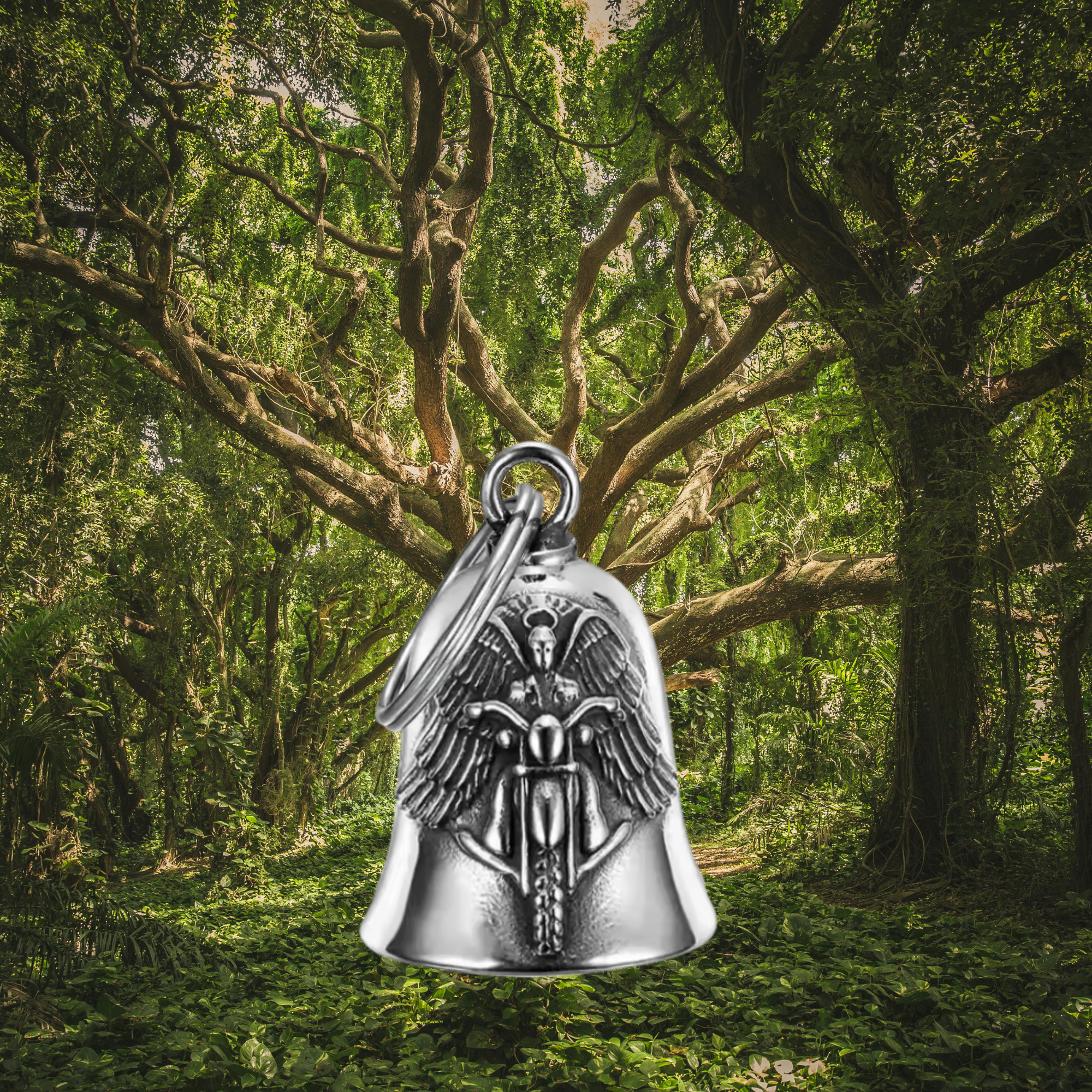 Protecteur Celeste Silver